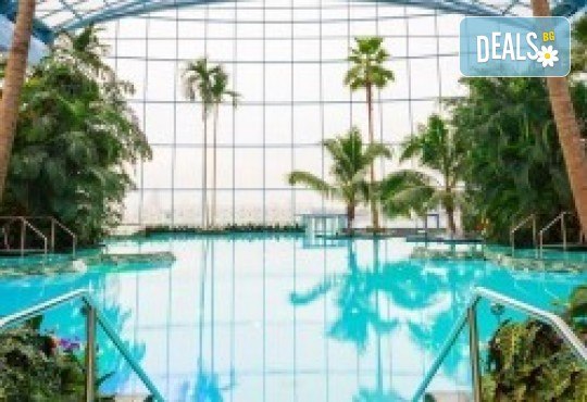 СПА уикенд в Терме Букурещ, тропическият рай на Балканите, едно уникално изживяване от Рикотур! 1 нощувка в хотел 3* и транспорт с луксозен бус 8 + 1 - Снимка 6